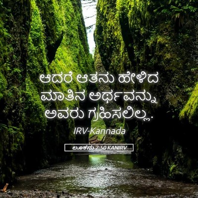 Picture 05 - ಲೂಕನು 2:50 KANIRV - ಆದರೆ ಆತನು ಹೇಳಿದ - Bible Verse Picture