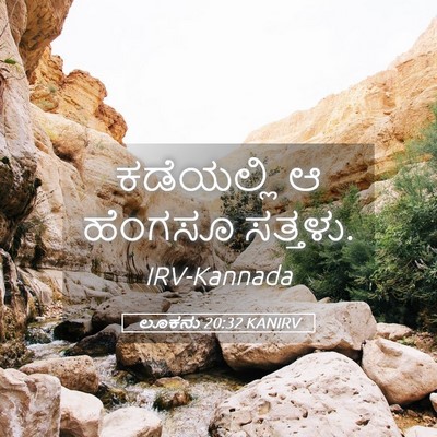 Picture 05 - ಲೂಕನು 20:32 KANIRV - ಕಡೆಯಲ್ಲಿ ಆ ಹೆಂಗಸೂ - Bible Verse Picture