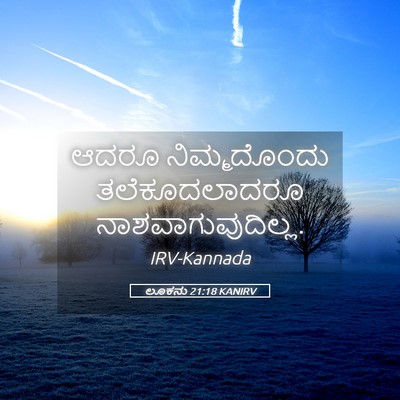 Picture 05 - ಲೂಕನು 21:18 KANIRV - ಆದರೂ ನಿಮ್ಮದೊಂದು - Bible Verse Picture