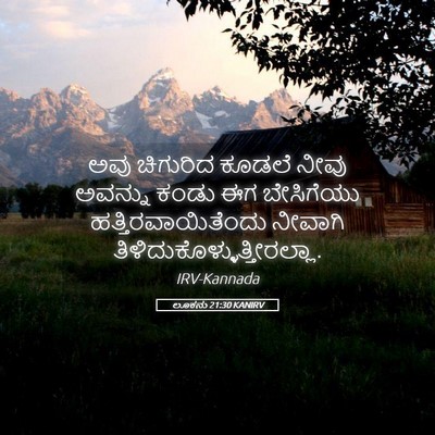 Picture 05 - ಲೂಕನು 21:30 KANIRV - ಅವು ಚಿಗುರಿದ ಕೂಡಲೆ - Bible Verse Picture