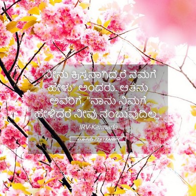 Picture 05 - ಲೂಕನು 22:67 KANIRV - “ನೀನು - Bible Verse Picture