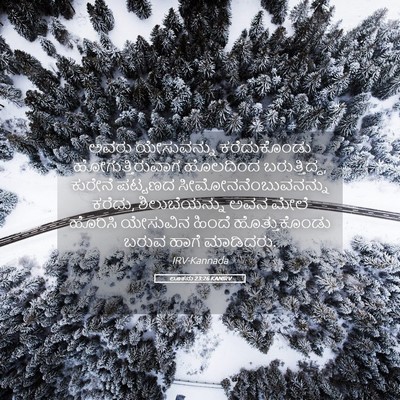 Picture 05 - ಲೂಕನು 23:26 KANIRV - ಅವರು ಯೇಸುವನ್ನು - Bible Verse Picture