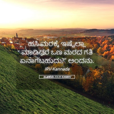 Picture 05 - ಲೂಕನು 23:31 KANIRV - ಹಸಿ ಮರಕ್ಕೆ - Bible Verse Picture