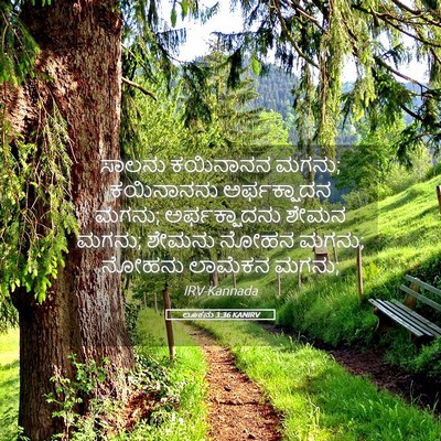 Picture 05 - ಲೂಕನು 3:36 KANIRV - ಸಾಲನು ಕಯಿನಾನನ - Bible Verse Picture