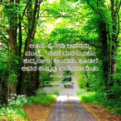 Picture 05 - ಲೂಕನು 5:13 KANIRV - ಆತನು ಕೈನೀಡಿ - Bible Verse Picture