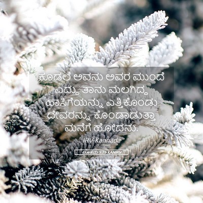 Picture 05 - ಲೂಕನು 5:25 KANIRV - ಕೂಡಲೆ ಅವನು ಅವರ - Bible Verse Picture