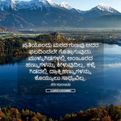 Picture 05 - ಲೂಕನು 6:44 KANIRV - ಪ್ರತಿಯೊಂದು ಮರದ - Bible Verse Picture