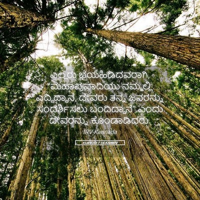 Picture 05 - ಲೂಕನು 7:16 KANIRV - ಎಲ್ಲರು - Bible Verse Picture
