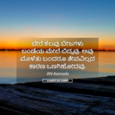 Picture 05 - ಲೂಕನು 8:6 KANIRV - ಬೇರೆ ಕೆಲವು ಬೀಜಗಳು - Bible Verse Picture