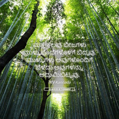 Picture 05 - ಲೂಕನು 8:7 KANIRV - ಮತ್ತೆ ಕೆಲವು - Bible Verse Picture