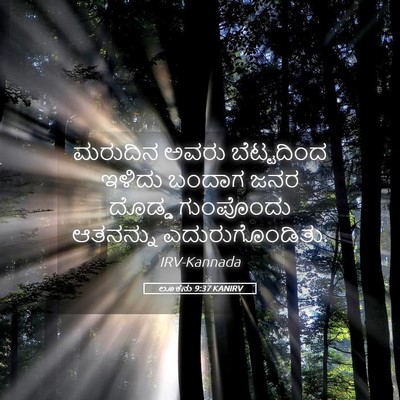 Picture 05 - ಲೂಕನು 9:37 KANIRV - ಮರುದಿನ ಅವರು - Bible Verse Picture