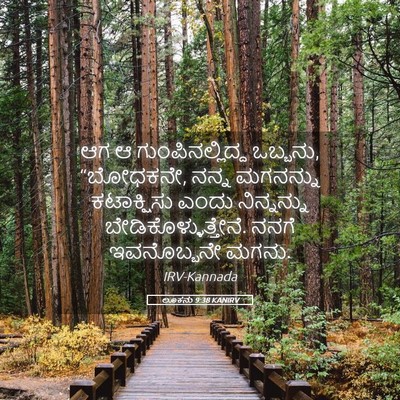 Picture 05 - ಲೂಕನು 9:38 KANIRV - ಆಗ ಆ - Bible Verse Picture