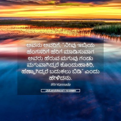 Picture 05 - ವಿಮೋಚನಕಾಂಡ 1:16 KANIRV - ಅವನು ಅವರಿಗೆ, “ನೀವು - Bible Verse Picture