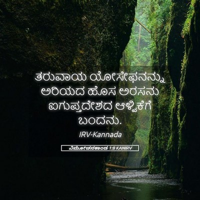 Picture 05 - ವಿಮೋಚನಕಾಂಡ 1:8 KANIRV - ತರುವಾಯ ಯೋಸೇಫನನ್ನು - Bible Verse Picture