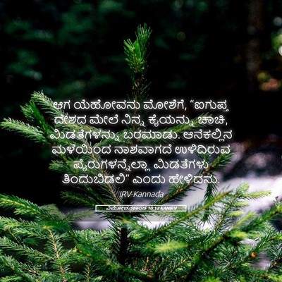 Picture 05 - ವಿಮೋಚನಕಾಂಡ 10:12 KANIRV - ಆಗ ಯೆಹೋವನು ಮೋಶೆಗೆ, - Bible Verse Picture