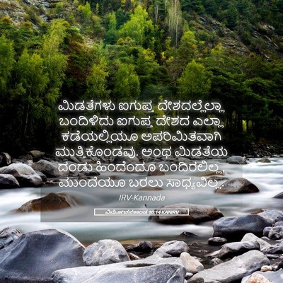 Picture 05 - ವಿಮೋಚನಕಾಂಡ 10:14 KANIRV - ಮಿಡತೆಗಳು ಐಗುಪ್ತ - Bible Verse Picture