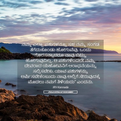 Picture 05 - ವಿಮೋಚನಕಾಂಡ 10:26 KANIRV - ನಮ್ಮ ಎಲ್ಲಾ - Bible Verse Picture