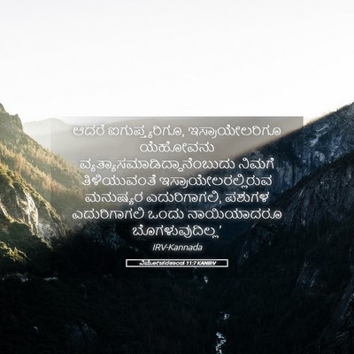 Picture 05 - ವಿಮೋಚನಕಾಂಡ 11:7 KANIRV - ಆದರೆ - Bible Verse Picture