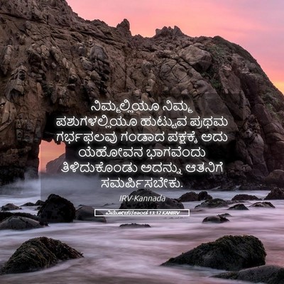 Picture 05 - ವಿಮೋಚನಕಾಂಡ 13:12 KANIRV - ನಿಮ್ಮಲ್ಲಿಯೂ ನಿಮ್ಮ - Bible Verse Picture