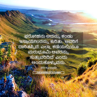 Picture 05 - ವಿಮೋಚನಕಾಂಡ 14:3 KANIRV - ಫರೋಹನು ಅದನ್ನು - Bible Verse Picture