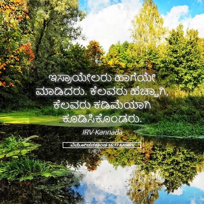 Picture 05 - ವಿಮೋಚನಕಾಂಡ 16:17 KANIRV - ಇಸ್ರಾಯೇಲರು ಹಾಗೆಯೇ - Bible Verse Picture