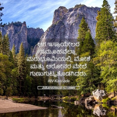 Picture 05 - ವಿಮೋಚನಕಾಂಡ 16:2 KANIRV - ಆಗ ಇಸ್ರಾಯೇಲರ - Bible Verse Picture