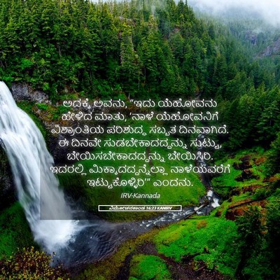 Picture 05 - ವಿಮೋಚನಕಾಂಡ 16:23 KANIRV - ಅದಕ್ಕೆ ಅವನು, “ಇದು - Bible Verse Picture