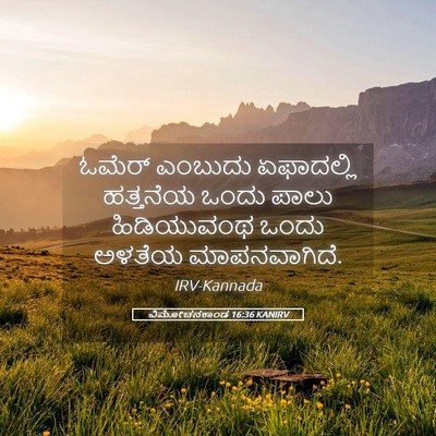 Picture 05 - ವಿಮೋಚನಕಾಂಡ 16:36 KANIRV - ಓಮೆರ್ ಎಂಬುದು - Bible Verse Picture