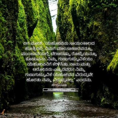 Picture 05 - ವಿಮೋಚನಕಾಂಡ 16:8 KANIRV - ಆಗ ಮೋಶೆ, “ಯೆಹೋವನು - Bible Verse Picture