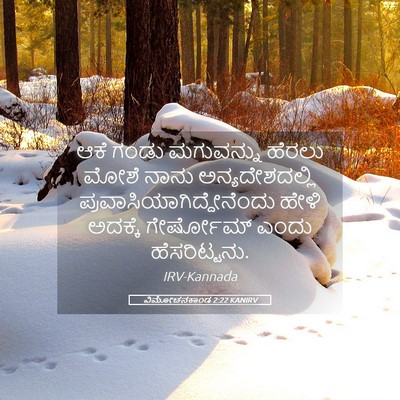 Picture 05 - ವಿಮೋಚನಕಾಂಡ 2:22 KANIRV - ಆಕೆ ಗಂಡು ಮಗುವನ್ನು - Bible Verse Picture