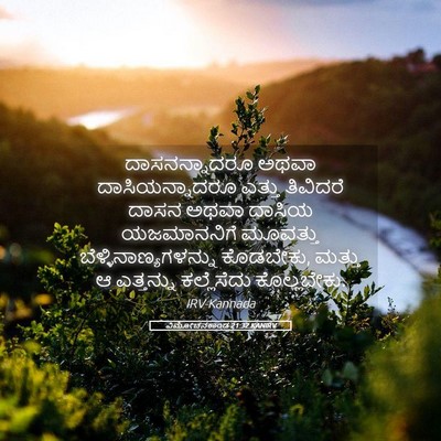 Picture 05 - ವಿಮೋಚನಕಾಂಡ 21:32 KANIRV - ದಾಸನನ್ನಾದರೂ ಅಥವಾ - Bible Verse Picture