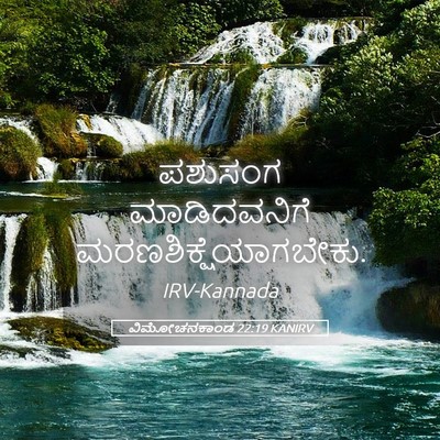 Picture 05 - ವಿಮೋಚನಕಾಂಡ 22:19 KANIRV - ಪಶುಸಂಗ ಮಾಡಿದವನಿಗೆ - Bible Verse Picture