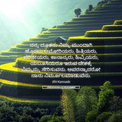 Picture 05 - ವಿಮೋಚನಕಾಂಡ 23:23 KANIRV - ನನ್ನ ದೂತನು ನಿಮ್ಮ - Bible Verse Picture