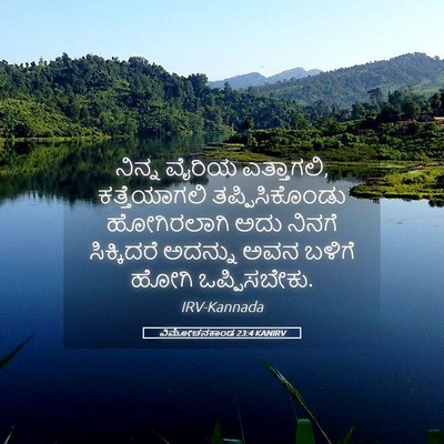 Picture 05 - ವಿಮೋಚನಕಾಂಡ 23:4 KANIRV - ನಿನ್ನ ವೈರಿಯ - Bible Verse Picture