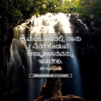 Picture 05 - ವಿಮೋಚನಕಾಂಡ 25:16 KANIRV - ಆ ಮಂಜೂಷದಲ್ಲಿ ನಾನು - Bible Verse Picture