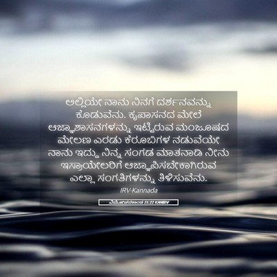 Picture 05 - ವಿಮೋಚನಕಾಂಡ 25:22 KANIRV - ಅಲ್ಲಿಯೇ ನಾನು - Bible Verse Picture