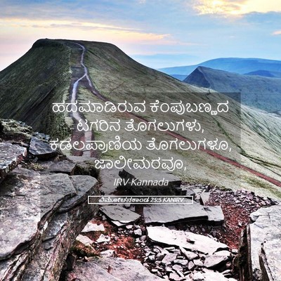 Picture 05 - ವಿಮೋಚನಕಾಂಡ 25:5 KANIRV - ಹದಮಾಡಿರುವ - Bible Verse Picture