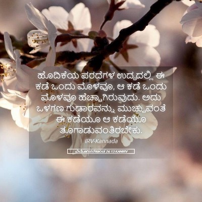Picture 05 - ವಿಮೋಚನಕಾಂಡ 26:13 KANIRV - ಹೊದಿಕೆಯ ಪರದೆಗಳ - Bible Verse Picture