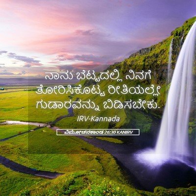 Picture 05 - ವಿಮೋಚನಕಾಂಡ 26:30 KANIRV - ನಾನು ಬೆಟ್ಟದಲ್ಲಿ - Bible Verse Picture