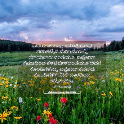 Picture 05 - ವಿಮೋಚನಕಾಂಡ 28:28 KANIRV - ಎದೆಯ ಪದಕವು - Bible Verse Picture