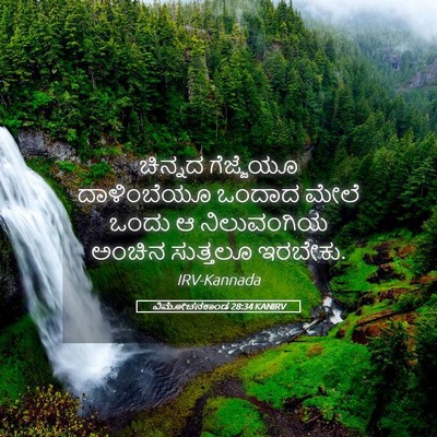 Picture 05 - ವಿಮೋಚನಕಾಂಡ 28:34 KANIRV - ಚಿನ್ನದ ಗೆಜ್ಜೆಯೂ - Bible Verse Picture
