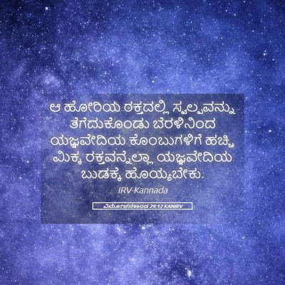 Picture 05 - ವಿಮೋಚನಕಾಂಡ 29:12 KANIRV - ಆ ಹೋರಿಯ ರಕ್ತದಲ್ಲಿ - Bible Verse Picture