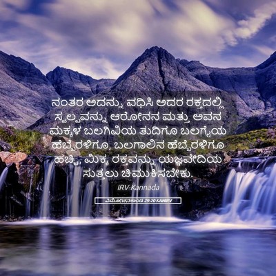 Picture 05 - ವಿಮೋಚನಕಾಂಡ 29:20 KANIRV - ನಂತರ ಅದನ್ನು ವಧಿಸಿ - Bible Verse Picture
