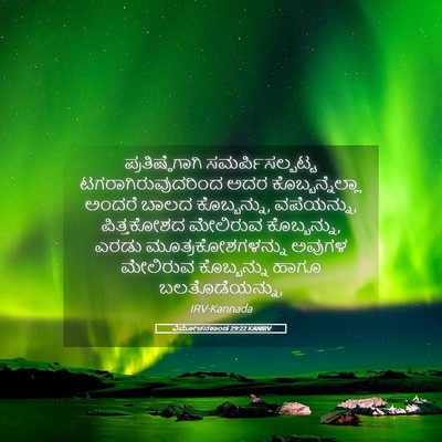 Picture 05 - ವಿಮೋಚನಕಾಂಡ 29:22 KANIRV - ಪ್ರತಿಷ್ಠೆಗಾಗಿ - Bible Verse Picture