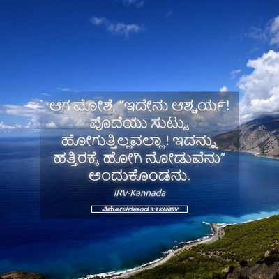 Picture 05 - ವಿಮೋಚನಕಾಂಡ 3:3 KANIRV - ಆಗ ಮೋಶೆ, “ಇದೇನು - Bible Verse Picture