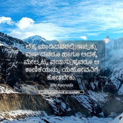 Picture 05 - ವಿಮೋಚನಕಾಂಡ 30:14 KANIRV - ಲೆಕ್ಕ ಮಾಡಿದವರಲ್ಲಿ - Bible Verse Picture