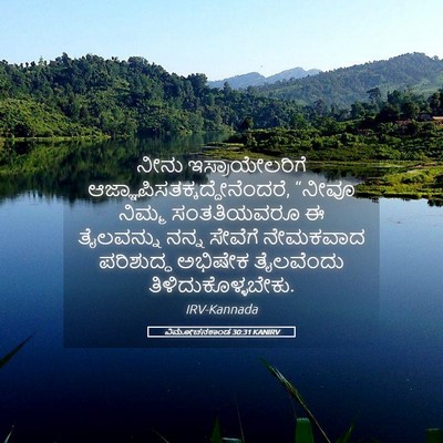 Picture 05 - ವಿಮೋಚನಕಾಂಡ 30:31 KANIRV - ನೀನು ಇಸ್ರಾಯೇಲರಿಗೆ - Bible Verse Picture