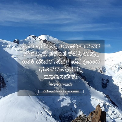 Picture 05 - ವಿಮೋಚನಕಾಂಡ 30:35 KANIRV - ಸುಗಂಧ ದ್ರವ್ಯ - Bible Verse Picture