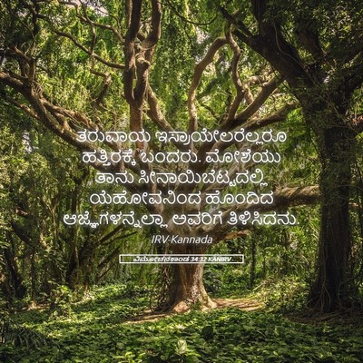 Picture 05 - ವಿಮೋಚನಕಾಂಡ 34:32 KANIRV - ತರುವಾಯ - Bible Verse Picture