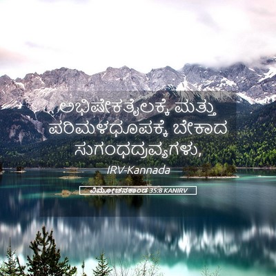Picture 05 - ವಿಮೋಚನಕಾಂಡ 35:8 KANIRV - ಅಭಿಷೇಕತೈಲಕ್ಕೆ - Bible Verse Picture